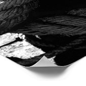 Nautical Knot Poster (Hoek)