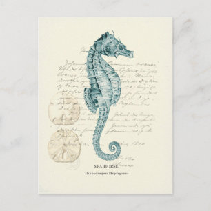 Nautical Mile Briefkaart