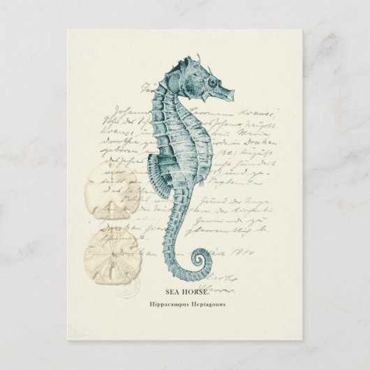 Nautical Mile Briefkaart (Voorkant)