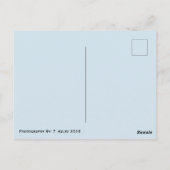 Nautical Ship Tacoma Washington Briefkaart (Achterkant)