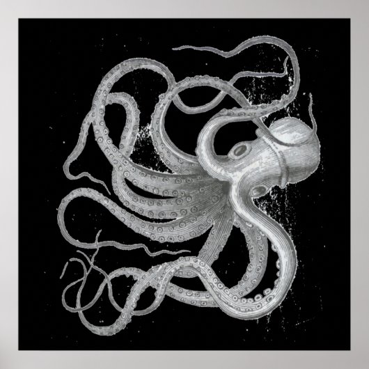 Nautical Steampunk Octopus  Kraken Draken Drawing Poster (Voorkant)