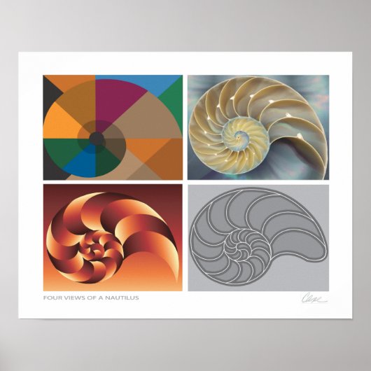 Nautilus 4 uitzichten poster (Voorkant)