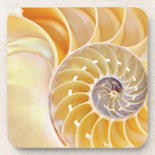 Nautilus Hard plastiek onderzetter