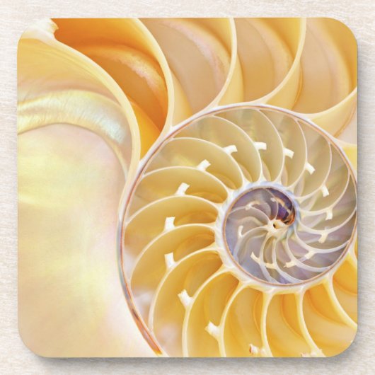 Nautilus Hard plastiek onderzetter (Voorkant)