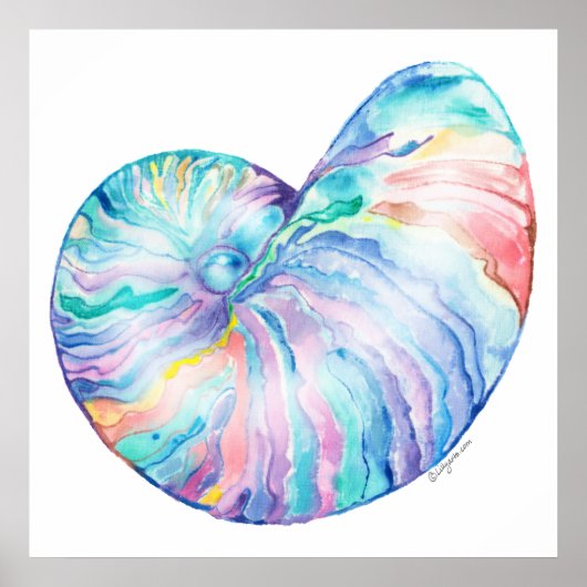 Nautilus Infinity Fine Art afdrukken en Poster (Voorkant)