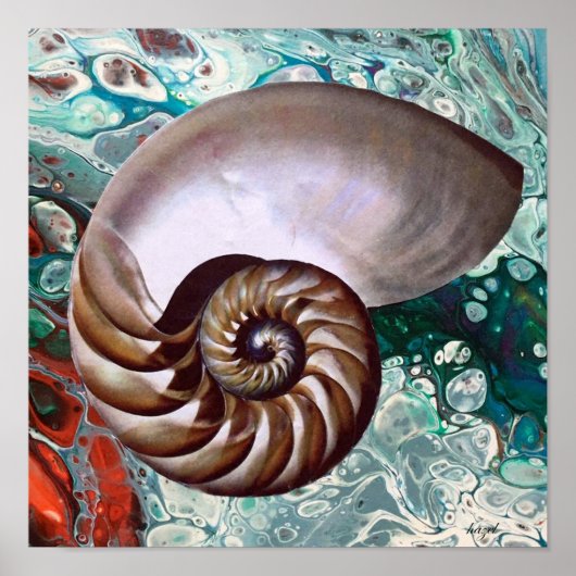 Nautilus, Nautilus Print, Art, Nautilus Poster (Voorkant)
