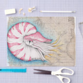 Nautilus Octopus  Map Nautilus Tissuepapier (Craft)