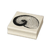 Nautilus Plicatus Shell  Rubber Art Stamp Rubberstempel (Stempel)