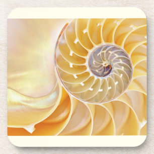 Nautilus Seashell Beverage Coaster Bier Onderzetter