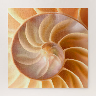 Nautilus Seashell Nature Thème Puzzles Pour Adulte