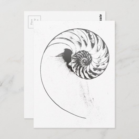 Nautilus shell 1 briefkaart (Voorkant / Achterkant)