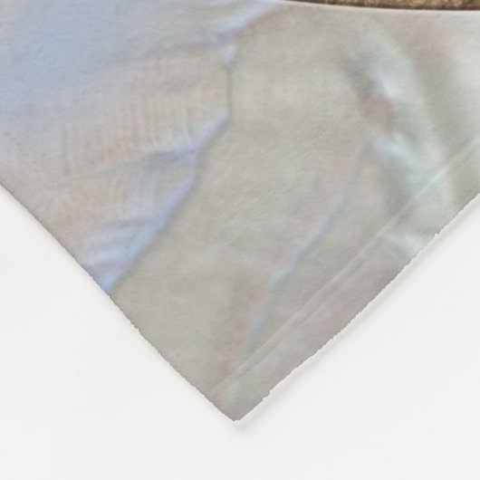Nautilus Shell - Abalone and Pearl Fleece Deken (Hoek)