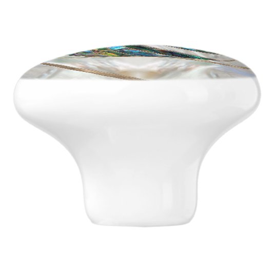 Nautilus Shell - Abalone en Pearl Keramische Knop (Zijkant)