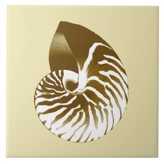 Nautilus shell - bruin, wit en beige tegeltje (Voorkant)