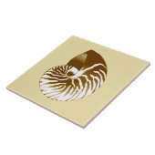Nautilus shell - bruin, wit en beige tegeltje (Zijkant)