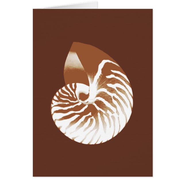 Nautilus shell - cacaobruin en wit (Voorkant)