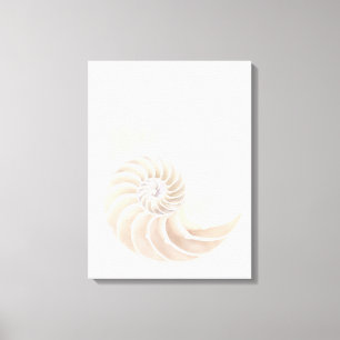 Nautilus shell, close-up canvas afdruk