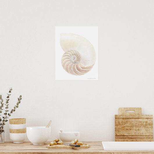 Nautilus shell, close-up poster (Keuken)