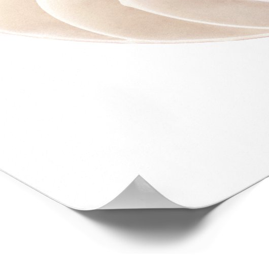 Nautilus shell, close-up poster (Hoek)