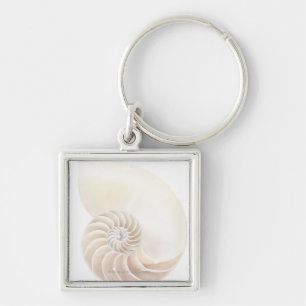 Nautilus shell, close-up sleutelhanger