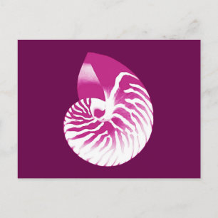 Nautilus shell - eierplant paars en wit briefkaart