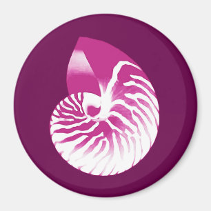 Nautilus shell - eierplant paars en wit magneet