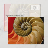 Nautilus shell Foto Briefkaart (Voorkant / Achterkant)