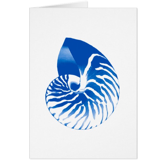 Nautilus shell - kobalt blauw en wit (Voorkant)
