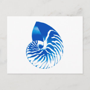 Nautilus shell - kobalt blauw en wit briefkaart
