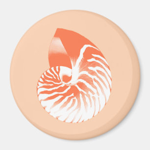 Nautilus shell - koraal oranje en wit magneet