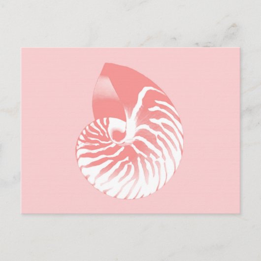 Nautilus shell - koraalroze en wit briefkaart (Voorkant)
