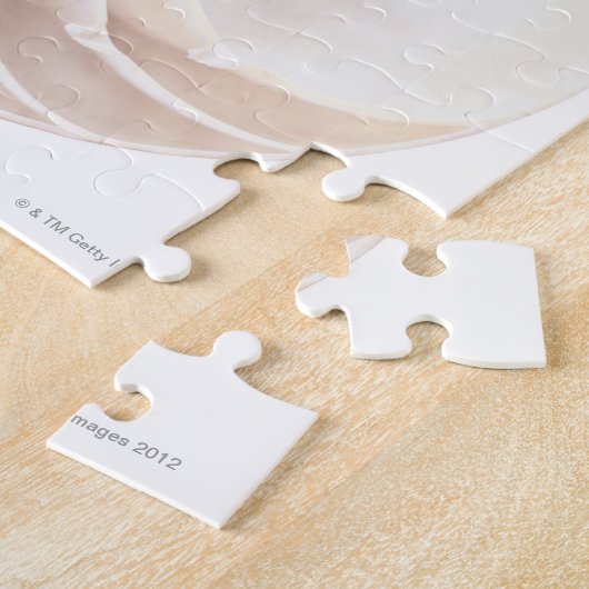 Nautilus Shell Legpuzzel (Zijkant)