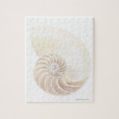Nautilus Shell Legpuzzel (Verticaal)