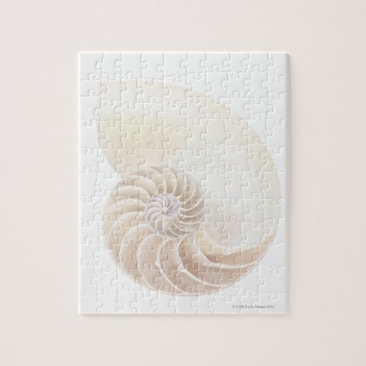 Nautilus Shell Legpuzzel (Verticaal)