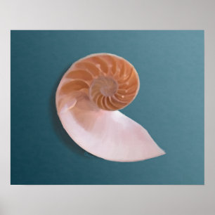 Nautilus Shell op Ocean Blue Fine Art Print