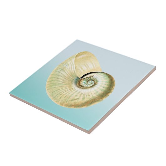 Nautilus shell tegeltje (Zijkant)