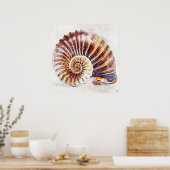 Nautilus Shell Tekening - Kunstdruk Poster (Keuken)