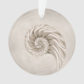 Nautilus Shell Tekening Ornament (voorkant)