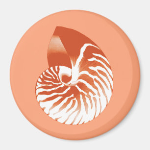 Nautilus shell - terracotta en white magneet