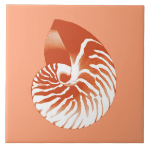Nautilus shell - terracotta en white tegeltje