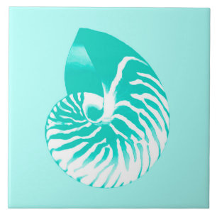 Nautilus shell - turquoise , aqua en white tegeltje