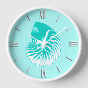 Nautilus shell - turquoise , aqua en wit