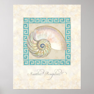 Nautilus Shell Waterverf Grieks Zeer belangrijk Da Poster