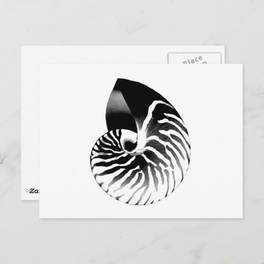 Nautilus shell - zwart, grijs en wit briefkaart (Voorkant / Achterkant)