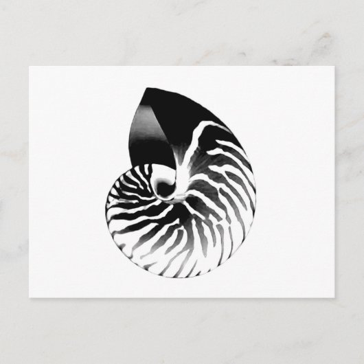 Nautilus shell - zwart, grijs en wit briefkaart (Voorkant)