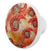Nautilus Shells Keramische Knop (Rechts)