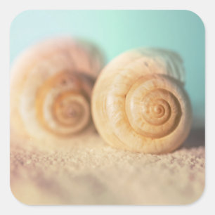 Nautilus Shells op strand Vierkante Sticker