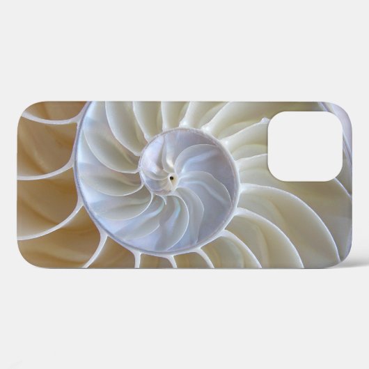 Nautilus Zee Shell Foto Case-Mate iPhone Case (Achterkant (horizontaal))