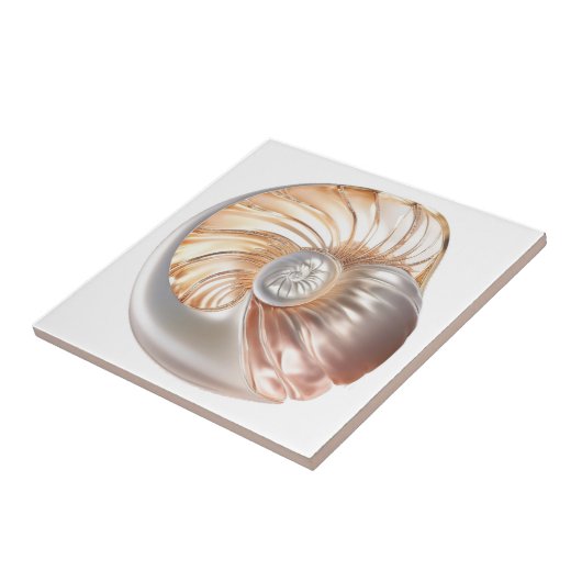 Nautilus zeeschelp oranje parel 3D strand zee Tegeltje (Zijkant)