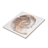 Nautilus zeeschelp perzik 3D strand zee nautisch Tegeltje (Zijkant)